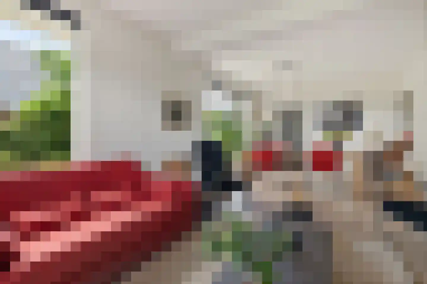 Dorpsstraat 24 Gees thumbnail 17