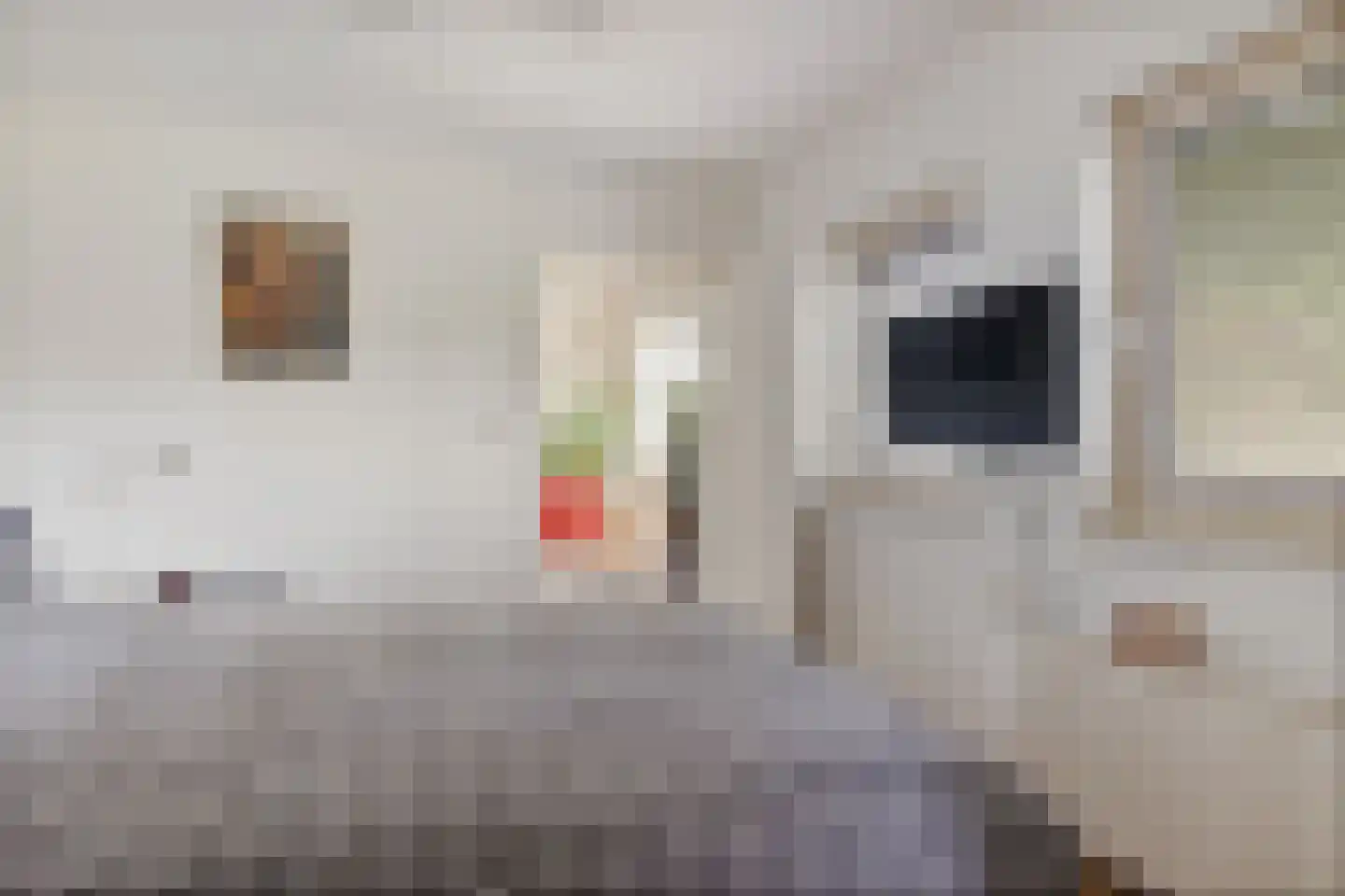 Dorpsstraat 24 Gees thumbnail 21