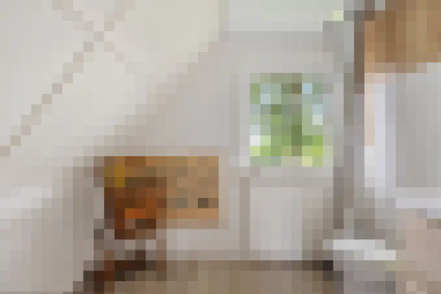 Dorpsstraat 24 Gees thumbnail 31