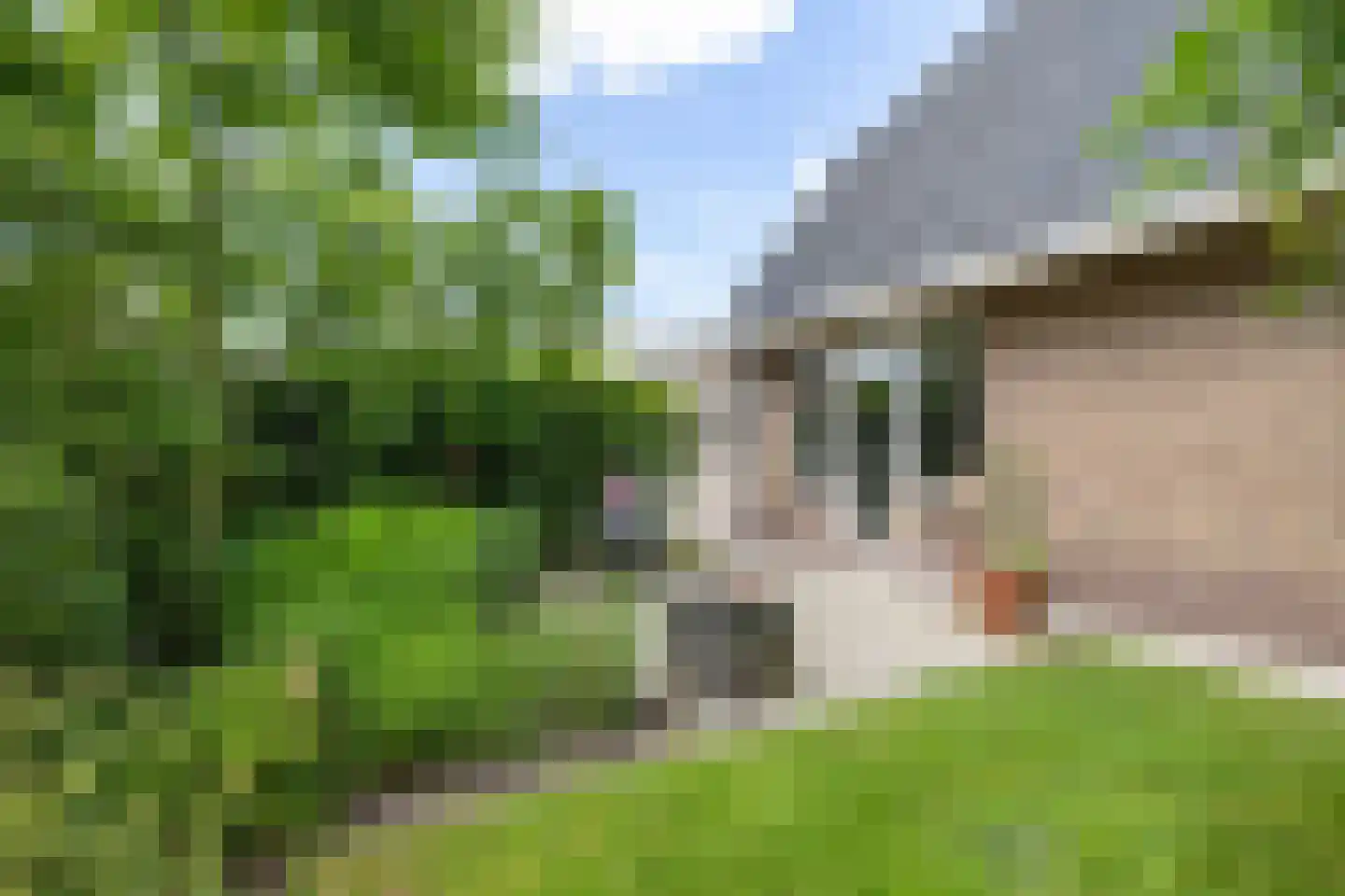 Dorpsstraat 24 Gees thumbnail 52