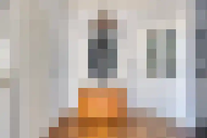 Dorpsstraat 24 Heteren thumbnail 12