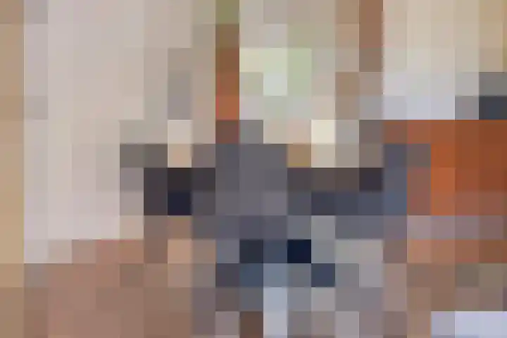 Dorpsstraat 24 Heteren thumbnail 18
