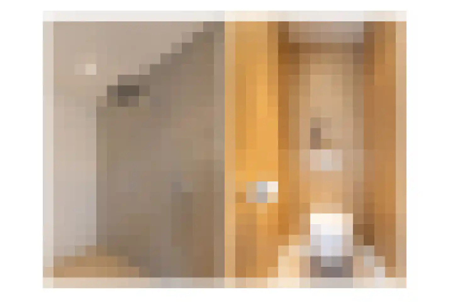 Dorpsstraat 24 L Helmond thumbnail 33