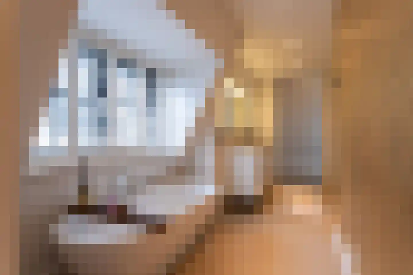 Dorpsstraat 24 L Helmond thumbnail 4