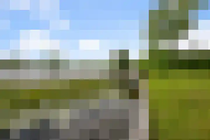 Dorpsstraat 24 Markenbinnen thumbnail 12