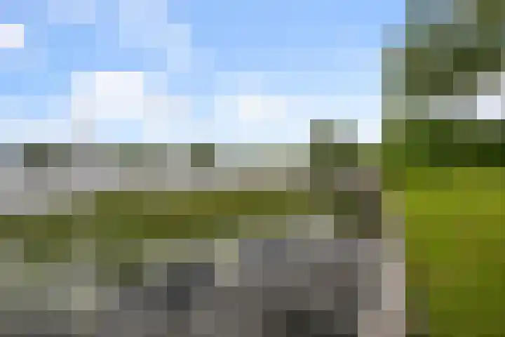 Dorpsstraat 24 Markenbinnen thumbnail 13
