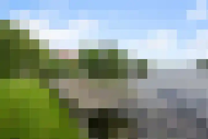 Dorpsstraat 24 Markenbinnen thumbnail 17