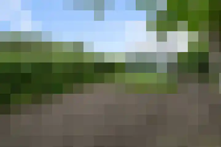 Dorpsstraat 24 Markenbinnen thumbnail 21