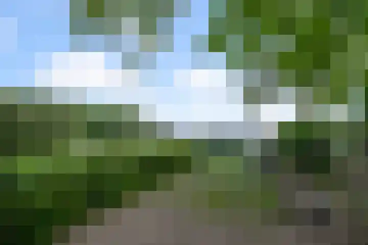 Dorpsstraat 24 Markenbinnen thumbnail 22