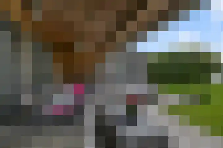 Dorpsstraat 24 Markenbinnen thumbnail 23