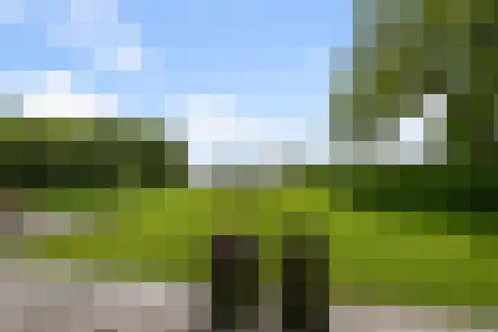Dorpsstraat 24 Markenbinnen thumbnail 27