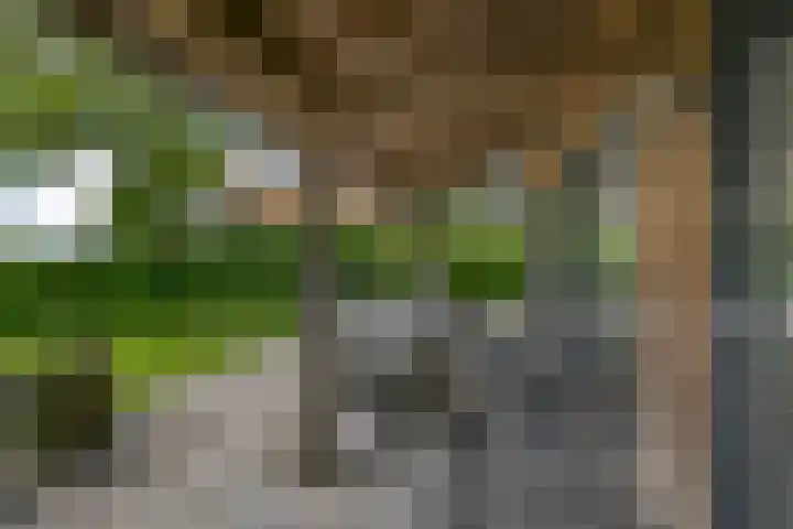 Dorpsstraat 24 Markenbinnen thumbnail 28