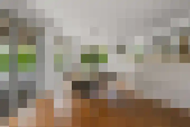 Dorpsstraat 24 Markenbinnen thumbnail 39