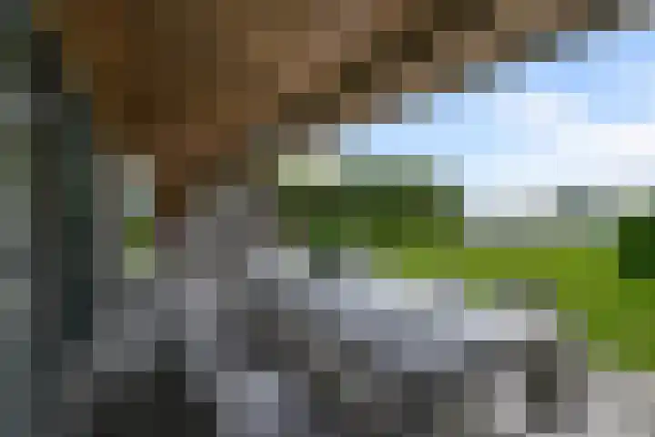 Dorpsstraat 24 Markenbinnen thumbnail 4