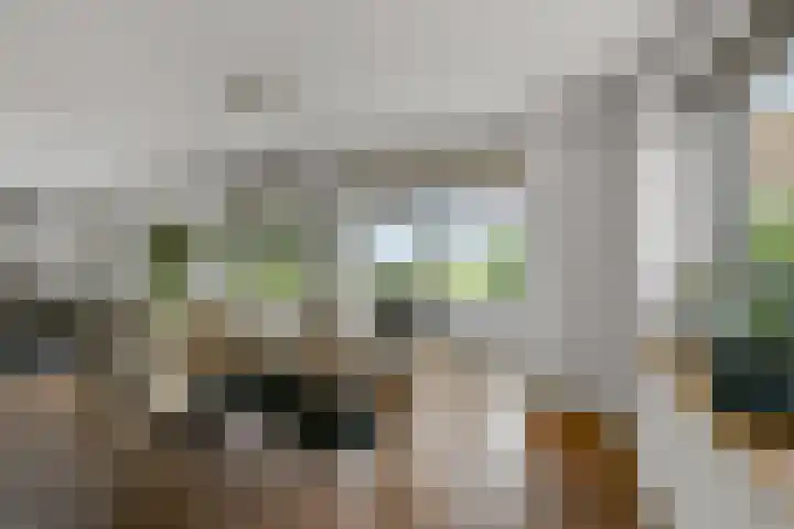 Dorpsstraat 24 Markenbinnen thumbnail 40