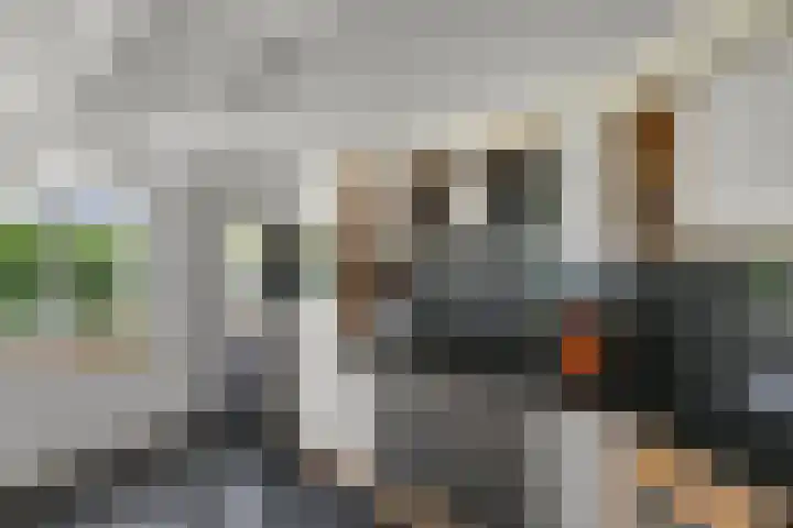 Dorpsstraat 24 Markenbinnen thumbnail 46
