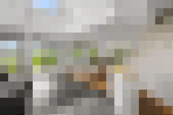 Dorpsstraat 24 Markenbinnen thumbnail 48