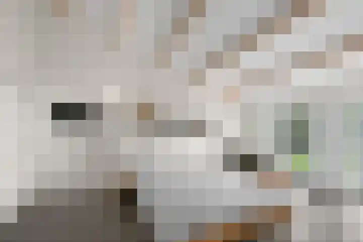 Dorpsstraat 24 Markenbinnen thumbnail 53