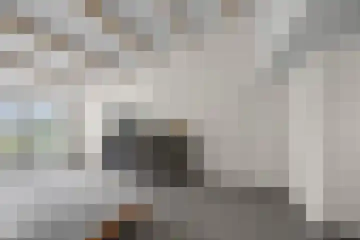 Dorpsstraat 24 Markenbinnen thumbnail 54