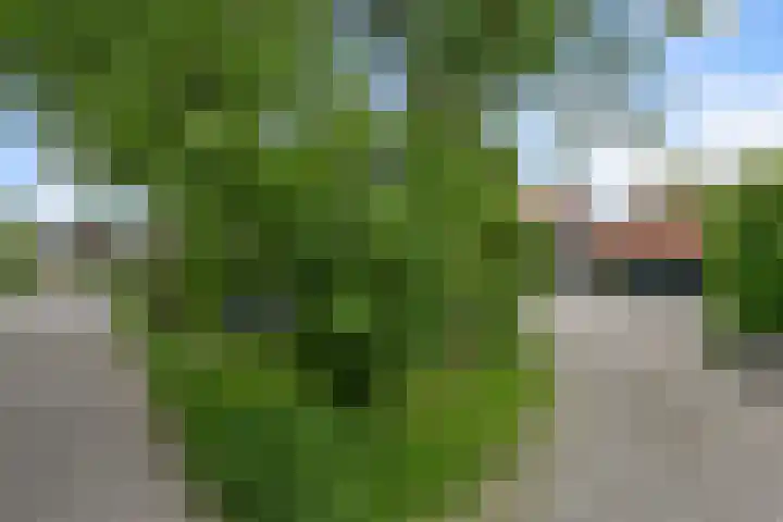 Dorpsstraat 24 Markenbinnen thumbnail 7