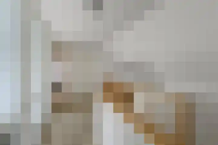 Dorpsstraat 24 Markenbinnen thumbnail 75