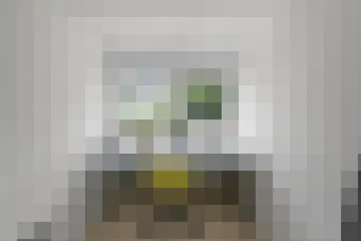 Dorpsstraat 24 Markenbinnen thumbnail 80