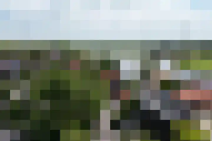 Dorpsstraat 24 Markenbinnen thumbnail 93