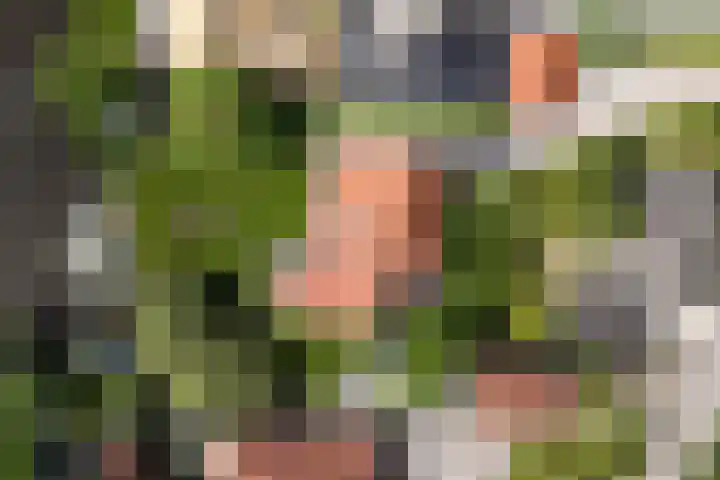Dorpsstraat 24 Markenbinnen thumbnail 94