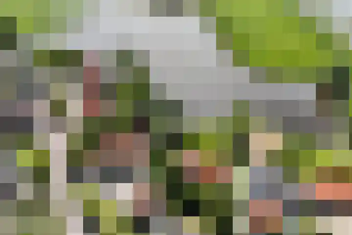 Dorpsstraat 24 Markenbinnen thumbnail 95