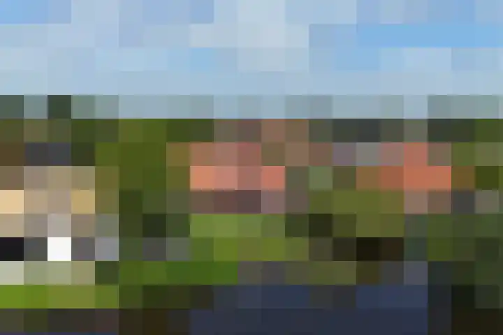 Dorpsstraat 24 Markenbinnen thumbnail 97