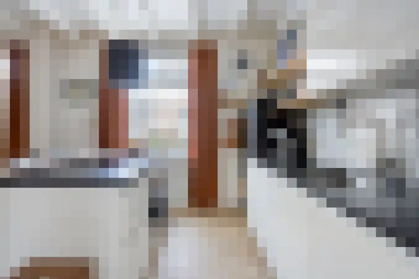 Dorpsstraat 24 Wagenberg thumbnail 11