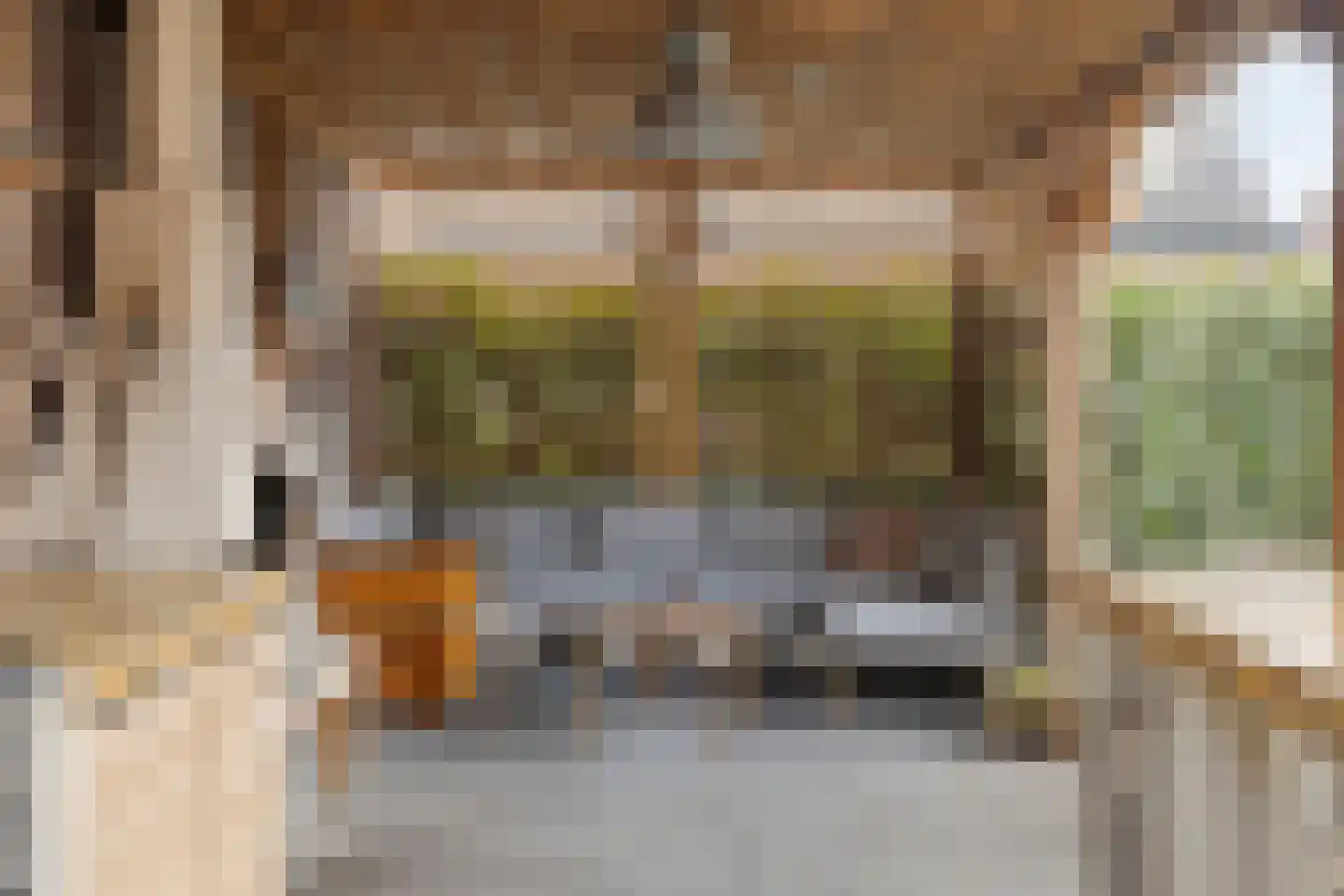 Dorpsstraat 24 Wagenberg thumbnail 32