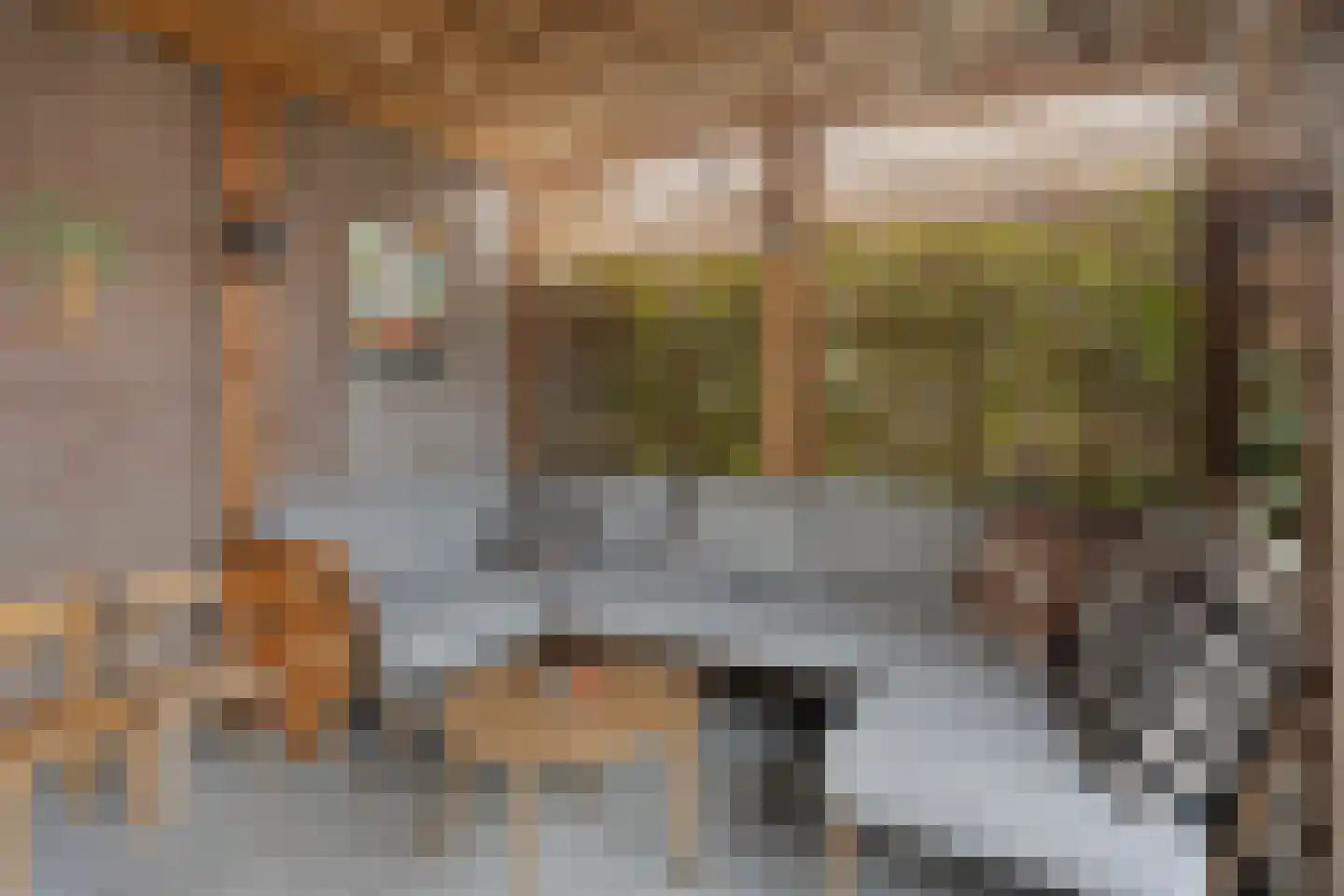Dorpsstraat 24 Wagenberg thumbnail 33