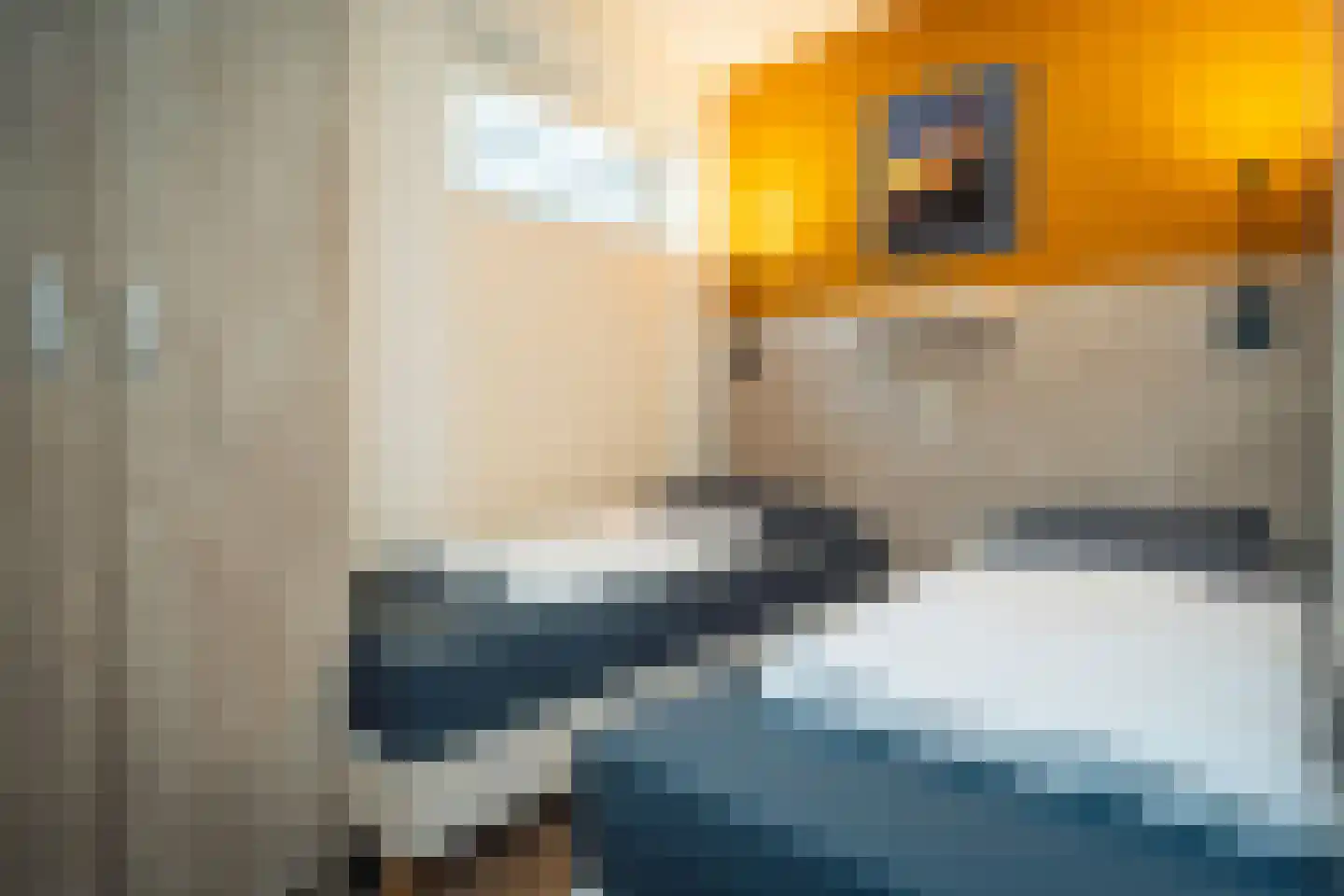 Dorpsstraat 241 De Koog thumbnail 17