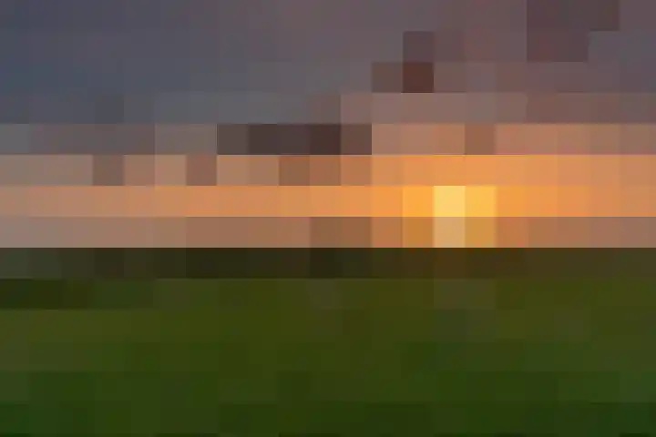 Dorpsstraat 241 De Koog thumbnail 6