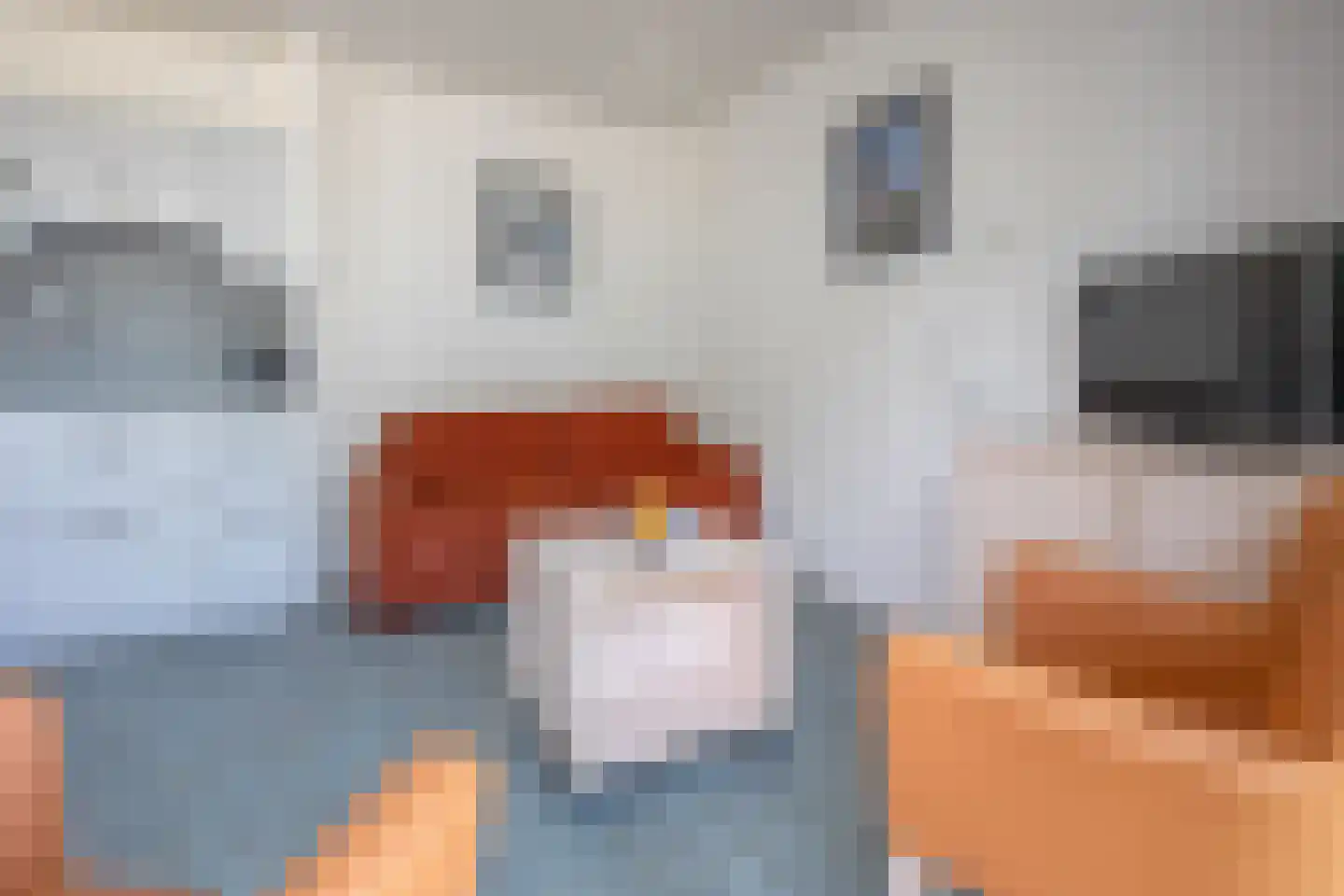 Dorpsstraat 243 De Koog thumbnail 4