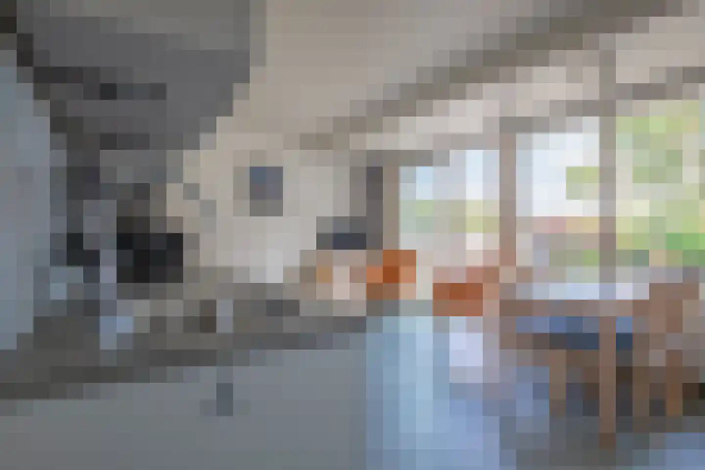 Dorpsstraat 243 De Koog thumbnail 5