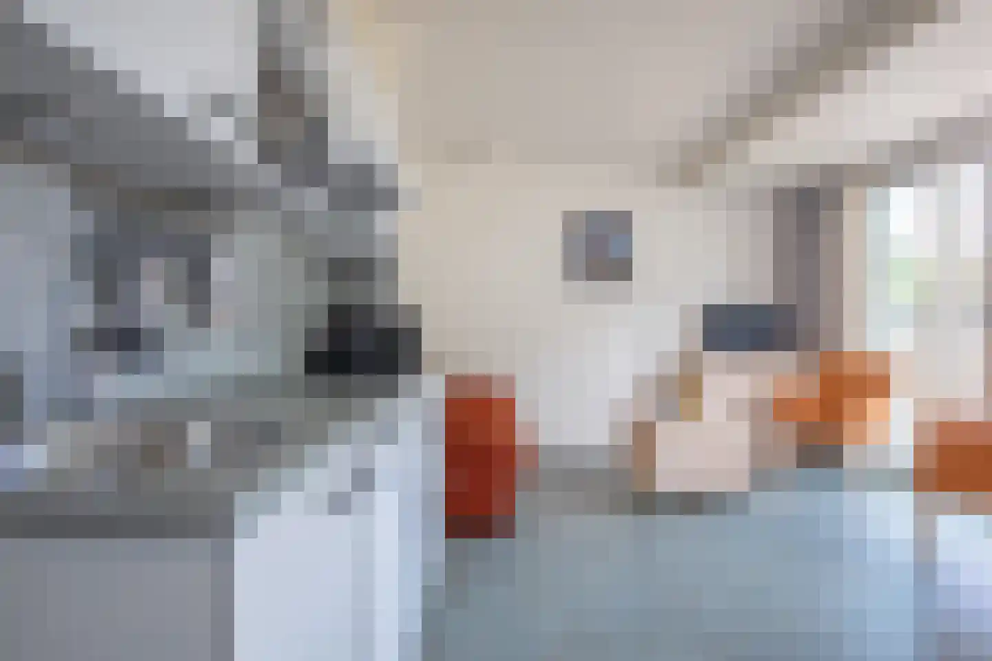 Dorpsstraat 243 De Koog thumbnail 7