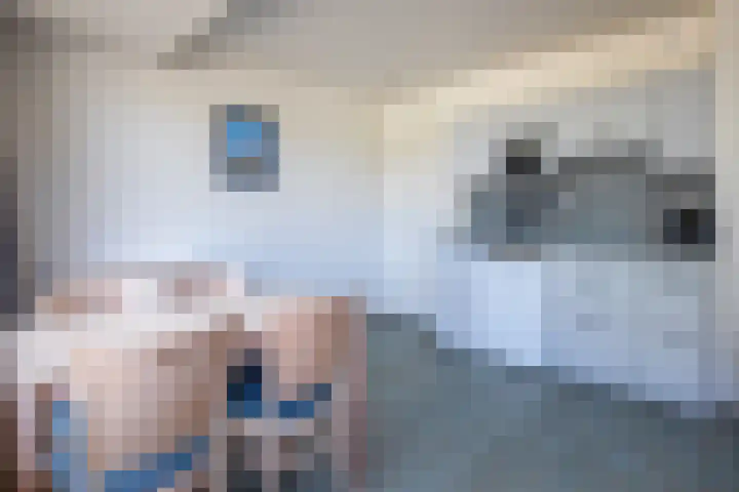 Dorpsstraat 243 De Koog thumbnail 8