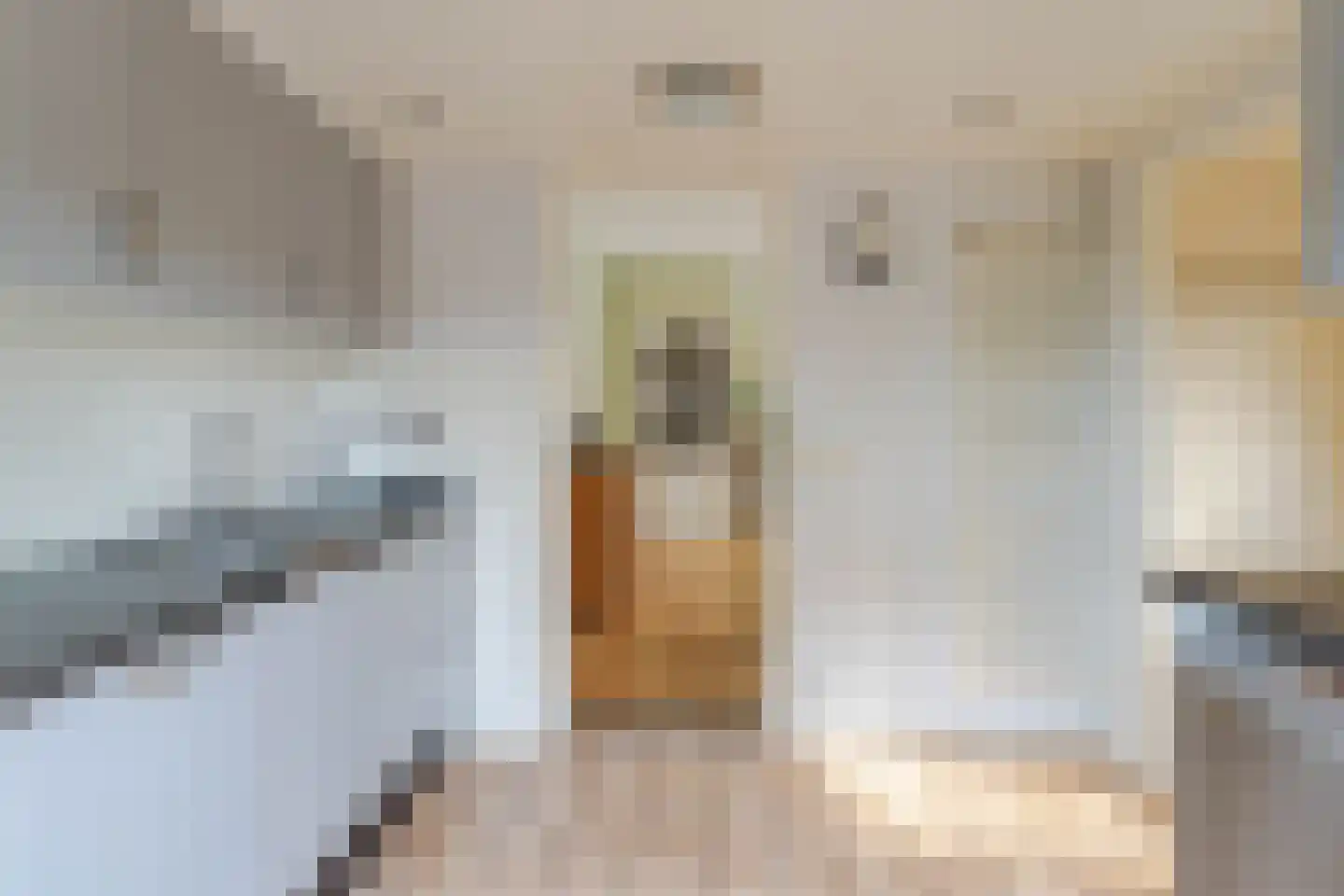 Dorpsstraat 244 Hazerswoude-Dorp thumbnail 15