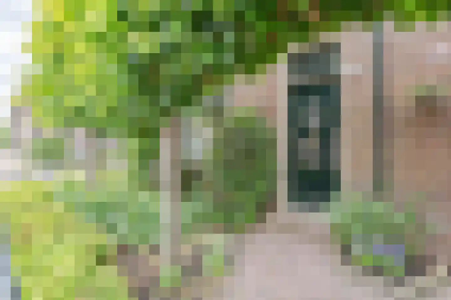 Dorpsstraat 244 Hazerswoude-Dorp thumbnail 5