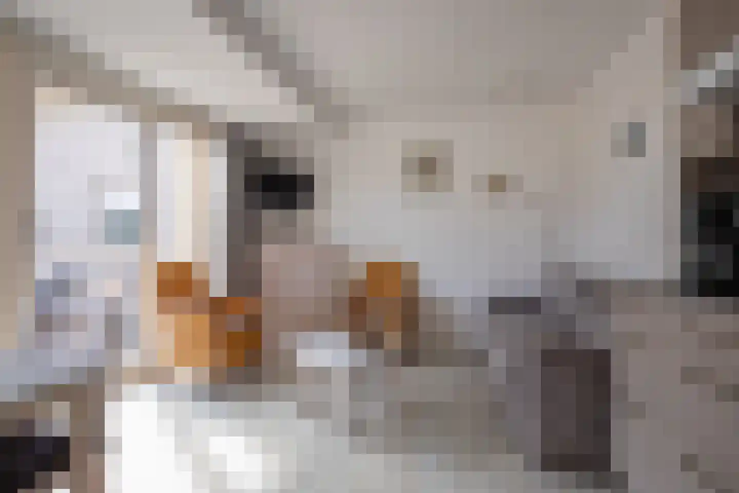 Dorpsstraat 245 De Koog thumbnail 4