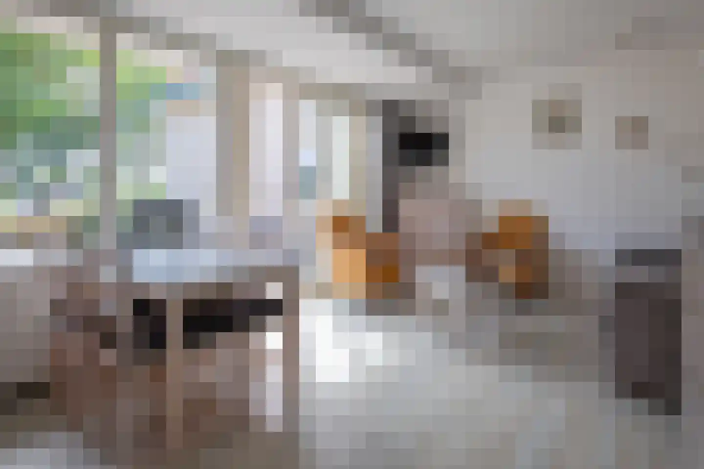 Dorpsstraat 245 De Koog thumbnail 5