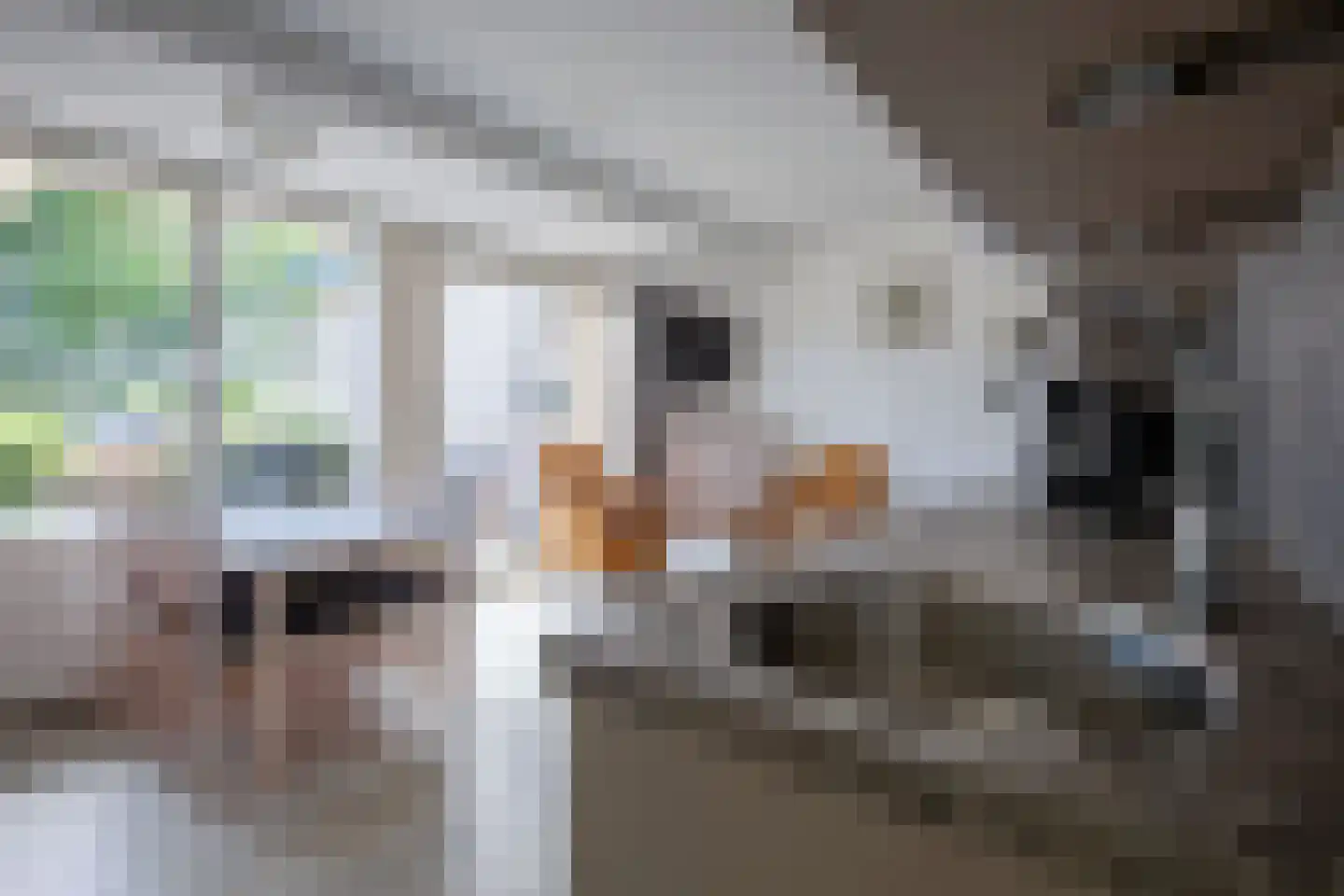 Dorpsstraat 245 De Koog thumbnail 6