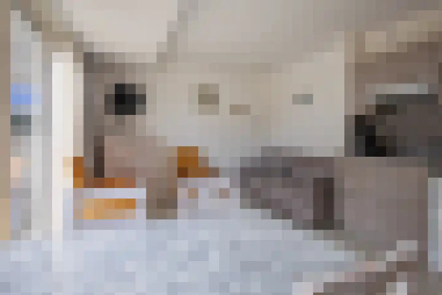 Dorpsstraat 245 De Koog thumbnail 7