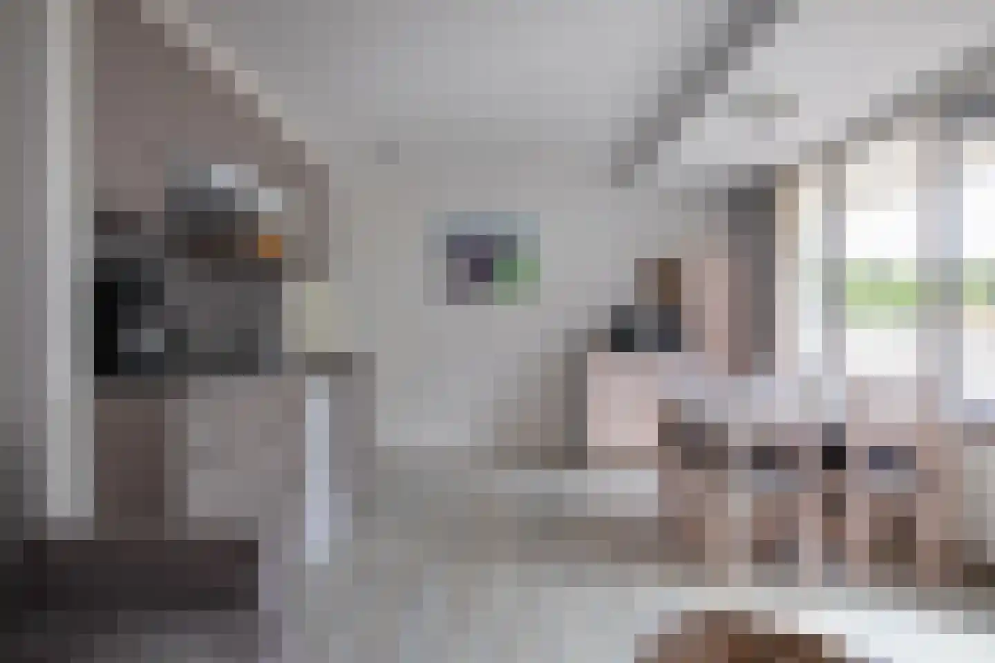 Dorpsstraat 245 De Koog thumbnail 8