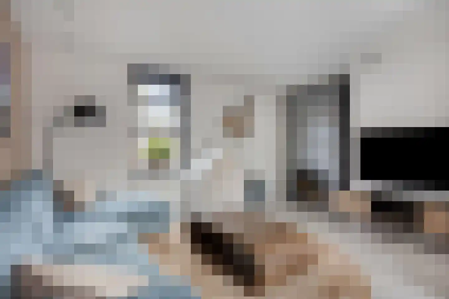 Dorpsstraat 247 Hazerswoude-Dorp thumbnail 10