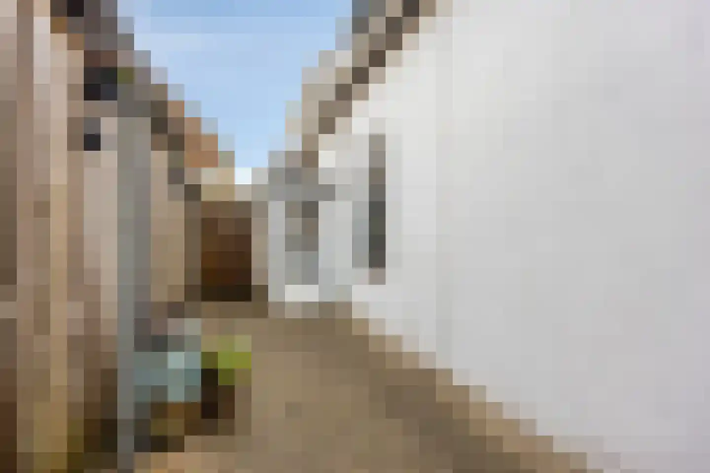 Dorpsstraat 247 Hazerswoude-Dorp thumbnail 31