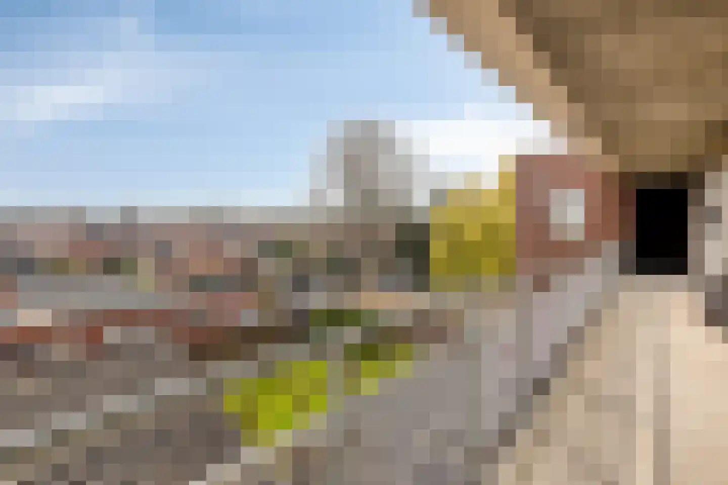 Dorpsstraat 25 C Halle thumbnail 7