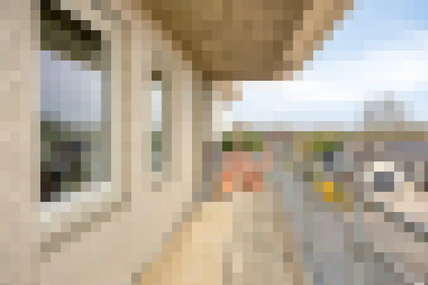 Dorpsstraat 25 C Halle thumbnail 8